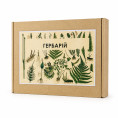 Гербарії